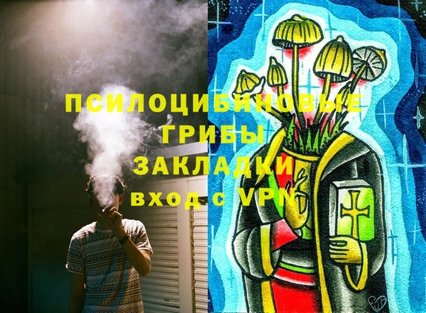 гашик Вязники